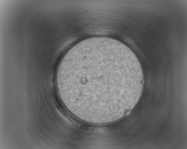 X0000080200683200701051749