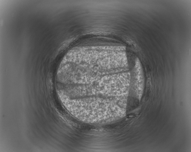 X0000080200688200701051749