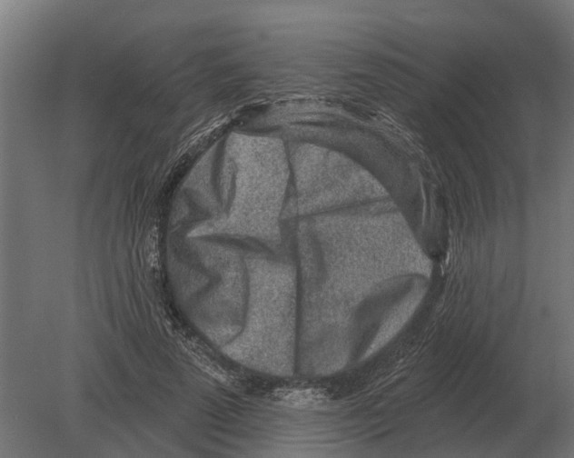 X0000080200689200701051749