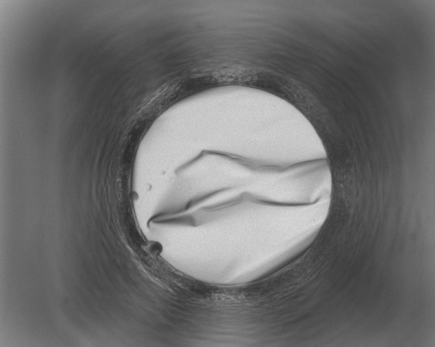 X0000080200690200701051749