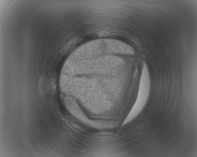 X0000080200691200701051749