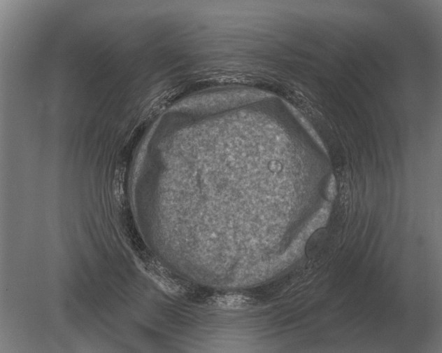 X0000080200695200701051749