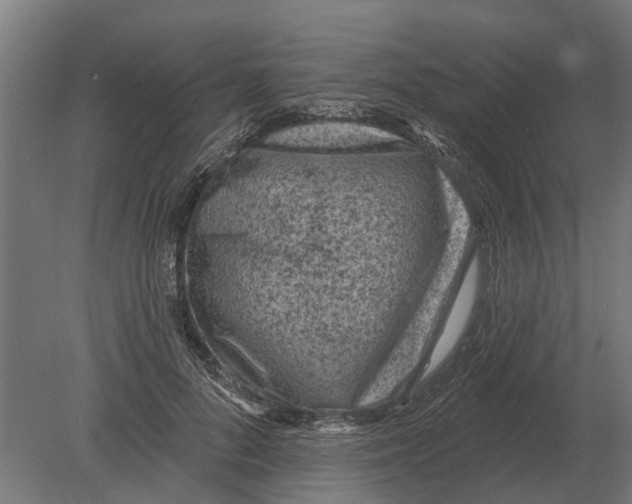 X0000080200696200701051749