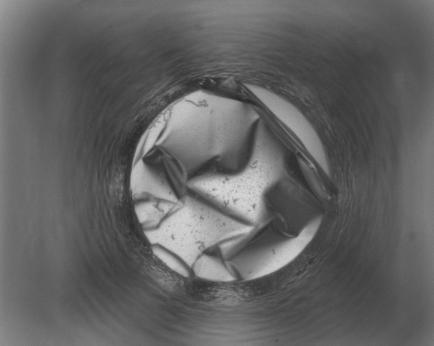 X0000080200697200701051749