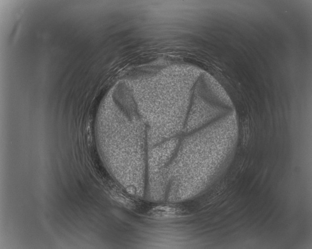 X0000080200699200701051749