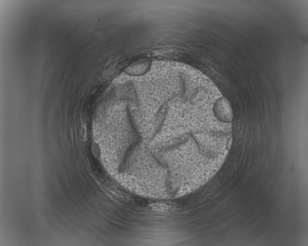 X0000080200703200701051749