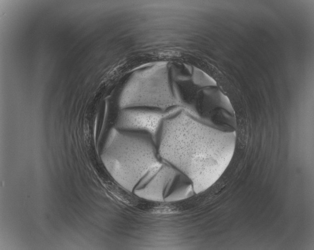 X0000080200704200701051749