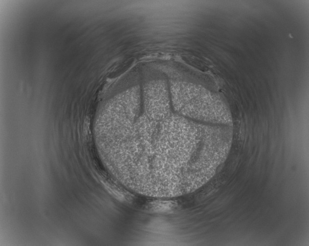 X0000080200711200701051749