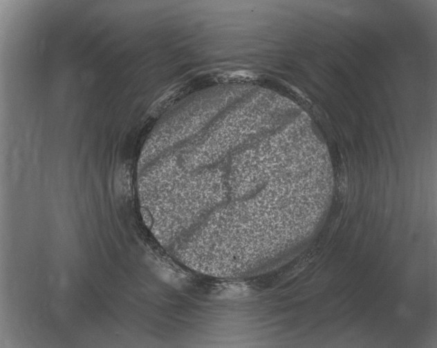 X0000080200715200701051749