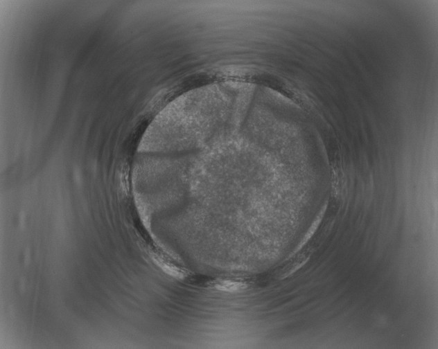 X0000080200718200701051749