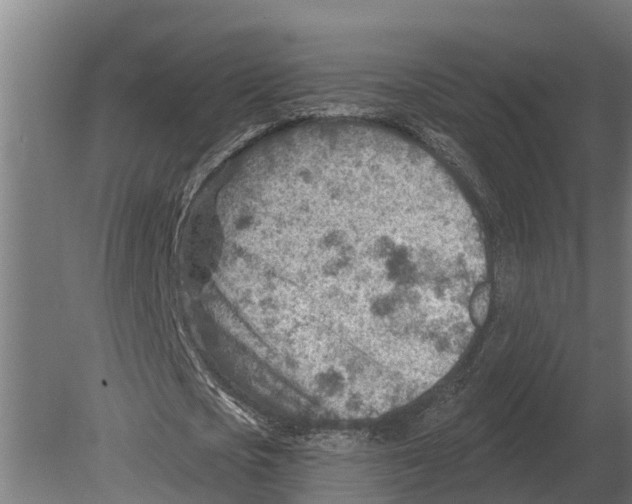 X0000080200721200701051748