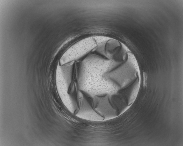 X0000080200723200701051748