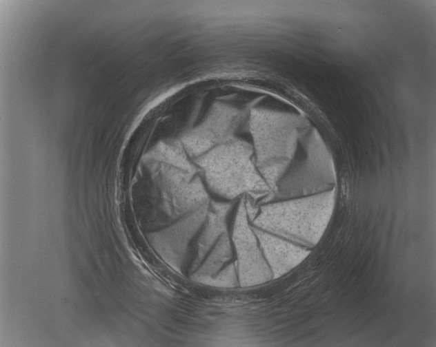 X0000080200724200701051748