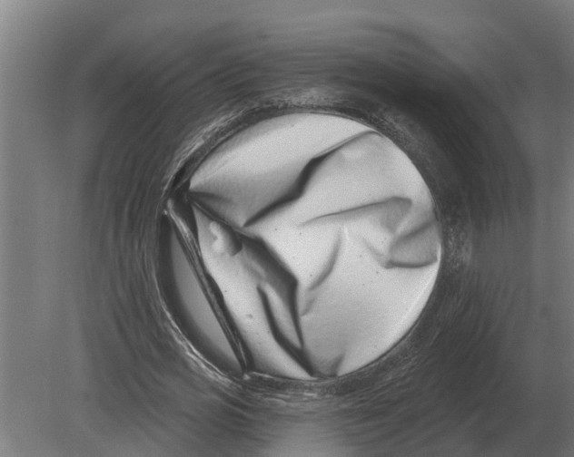 X0000080200725200701051748