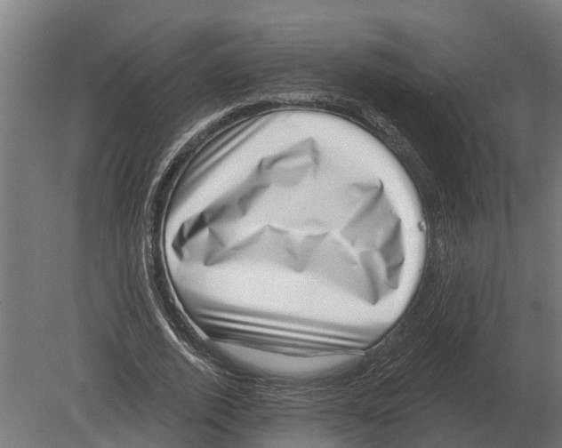 X0000080200728200701051748