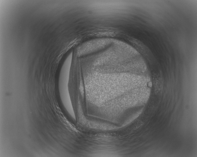 X0000080200729200701051748