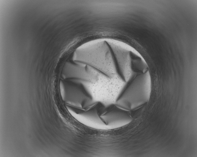 X0000080200730200701051748