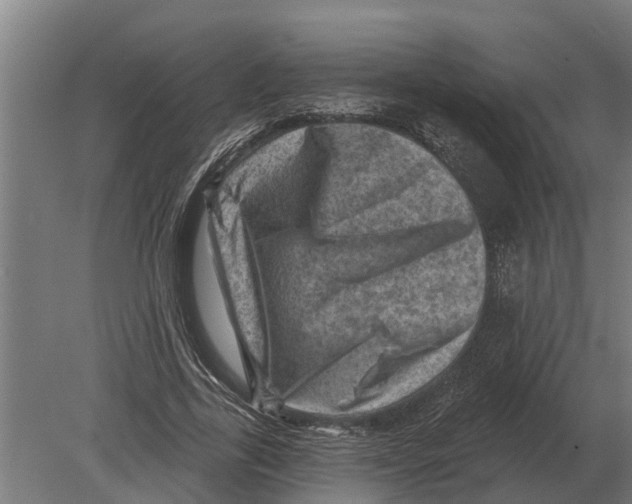 X0000080200731200701051748