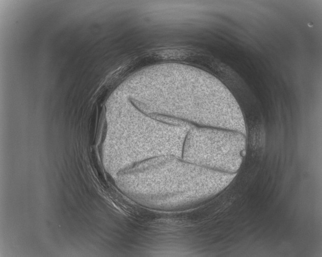 X0000080200733200701051748