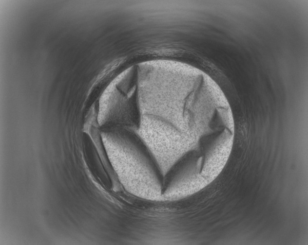 X0000080200734200701051748