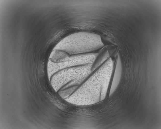 X0000080200735200701051748