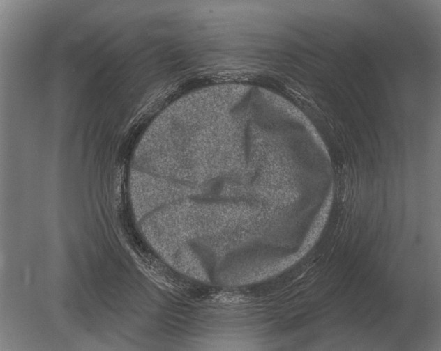 X0000080200742200701051748