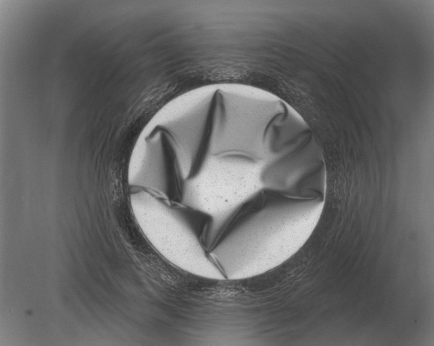 X0000080200743200701051748