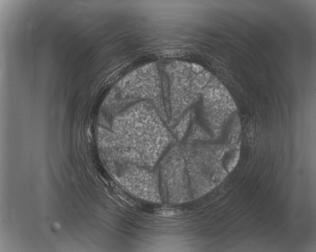 X0000080200746200701051748