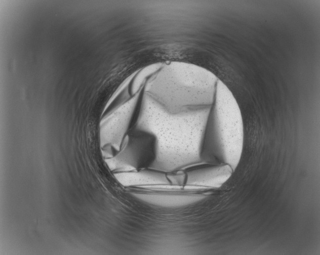 X0000080200747200701051748