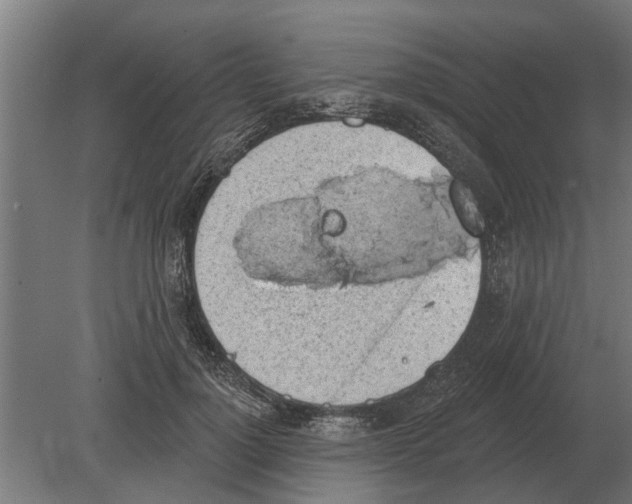 X0000080200748200701051748