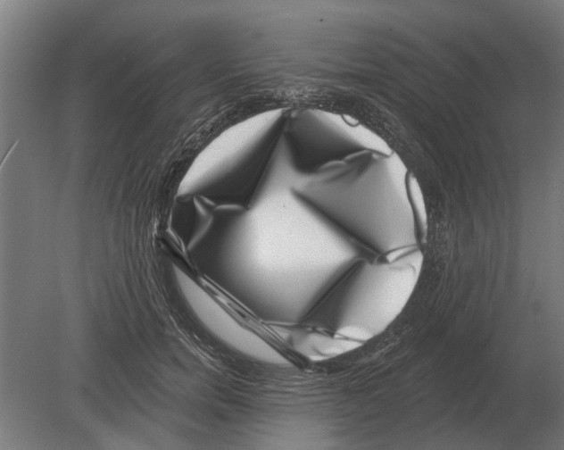 X0000080200750200701051748