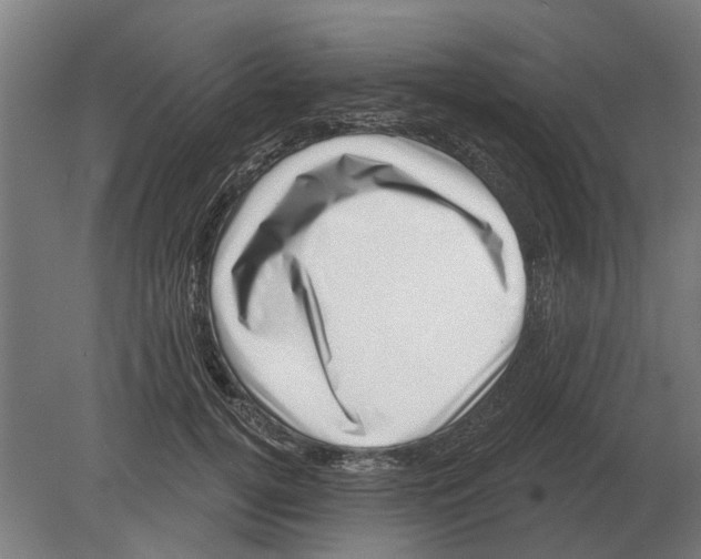 X0000080200752200701051748