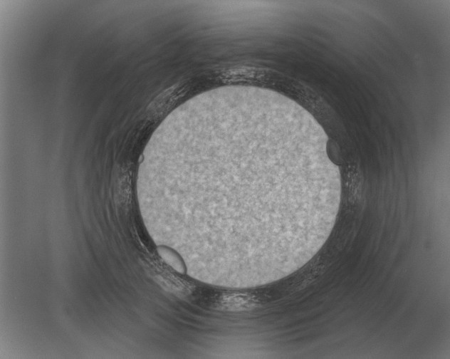 X0000080200753200701051748