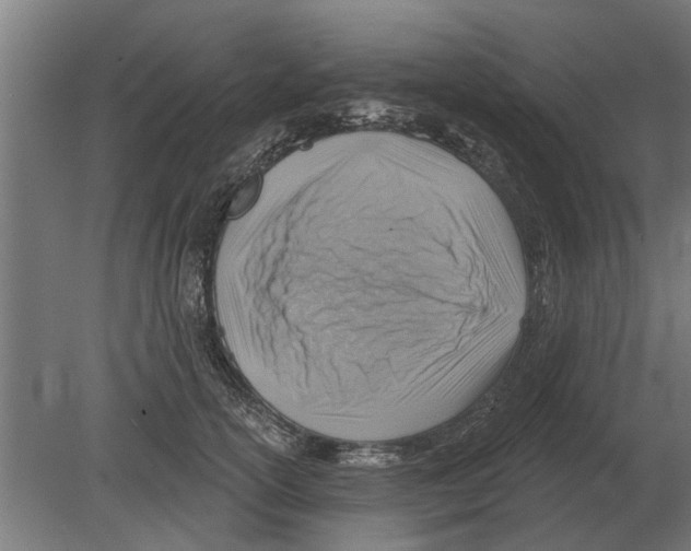 X0000080200754200701051748