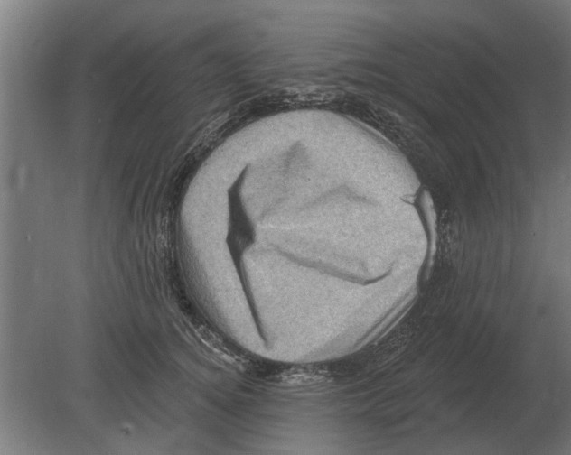 X0000080200756200701051748