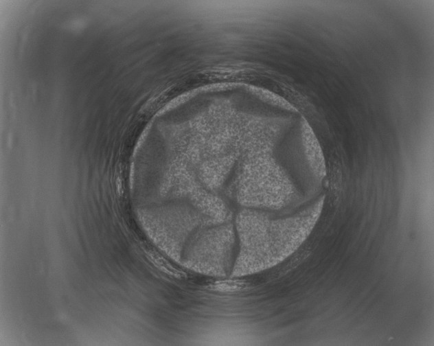 X0000080200758200701051748