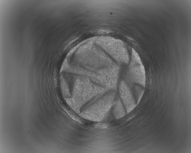 X0000080200762200701051748