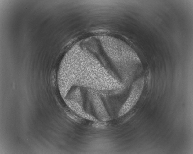 X0000080200767200701051749