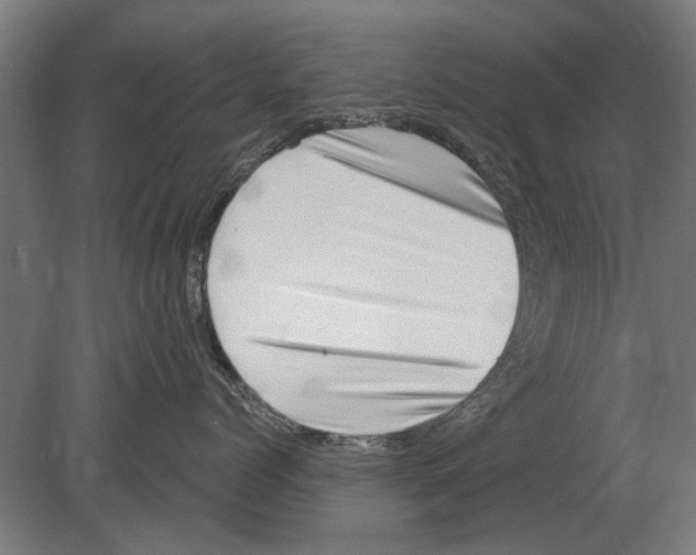 X0000080200768200701051749