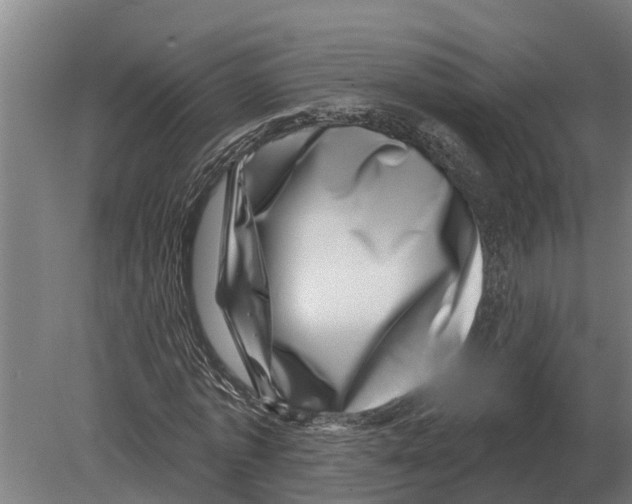 X0000080200773200701051748