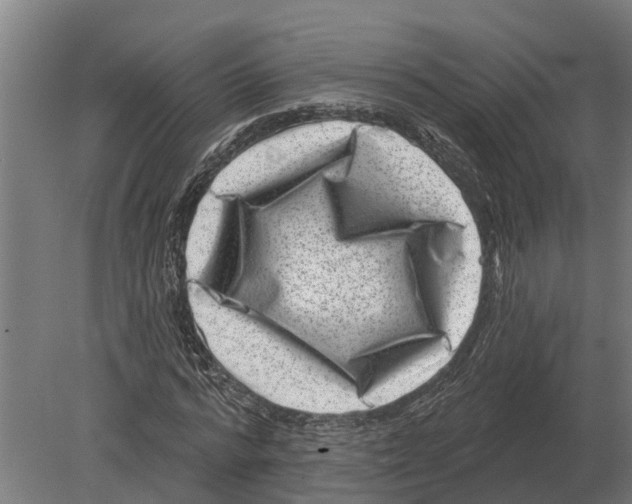 X0000080200776200701051748