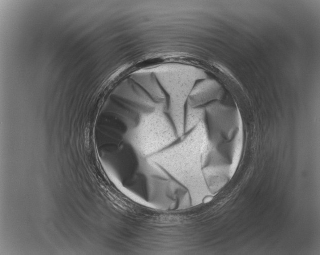 X0000080200777200701051748