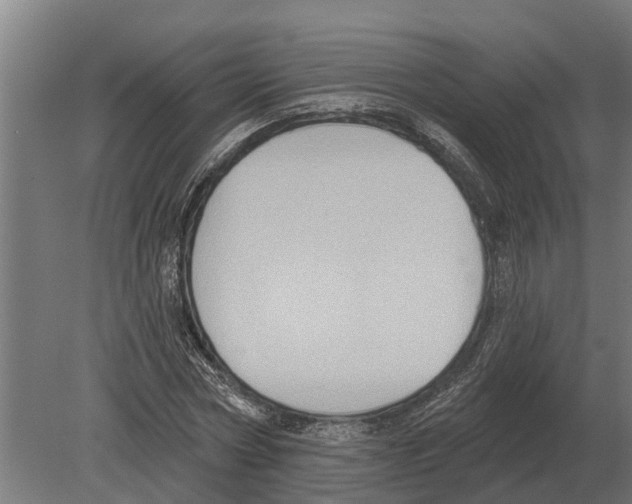 X0000080200778200701051748