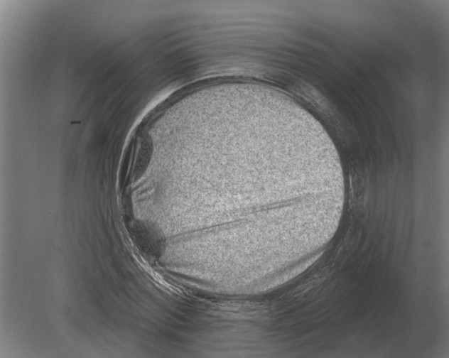 X0000080200780200701051748