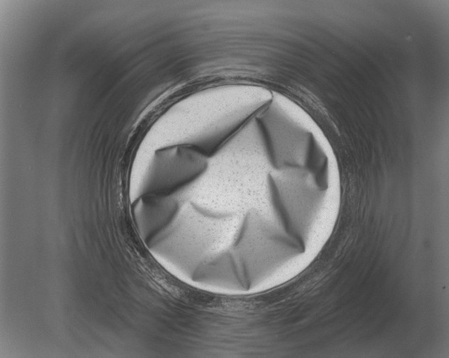 X0000080200782200701051748