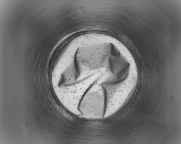 X0000080200784200701051747