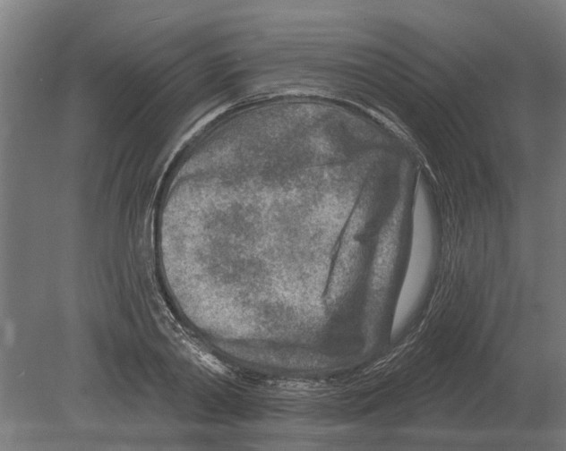 X0000080200790200701051747