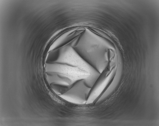 X0000080200792200701051747