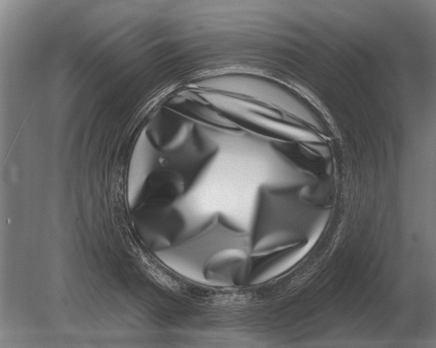 X0000080200793200701051747