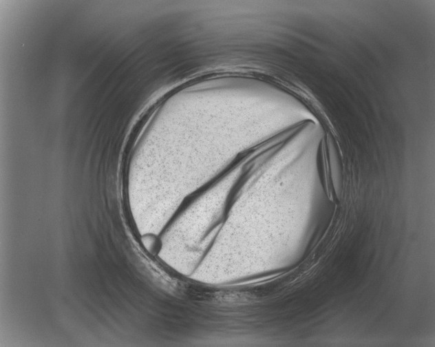 X0000080200795200701051747